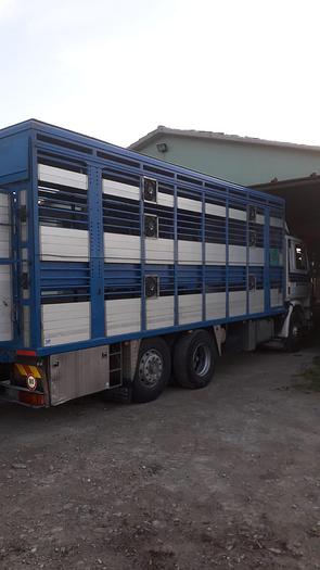 Usato 1989 Autocarro per trasporto animali SCANIA 113 H - Animal transport truck