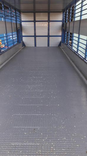 Usato 1989 Autocarro per trasporto animali SCANIA 113 H - Animal transport truck