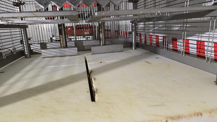 Usato 2013 Selezionatrice GELMINI SUMG 4T SR - Sorter