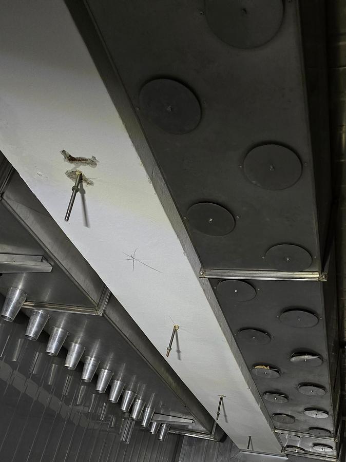 Usato 2008 Celle cottura alimenti Acciaio 5.5x4.5 - Food cooking cells Steel