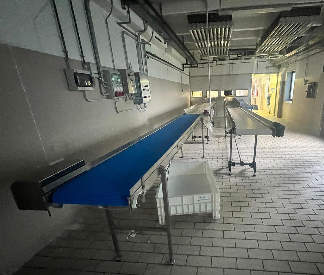 Usato 2020 Acciaio Inox