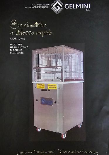 Usato 2013 Selezionatrice GELMINI SUMG 4T SR - Sorter