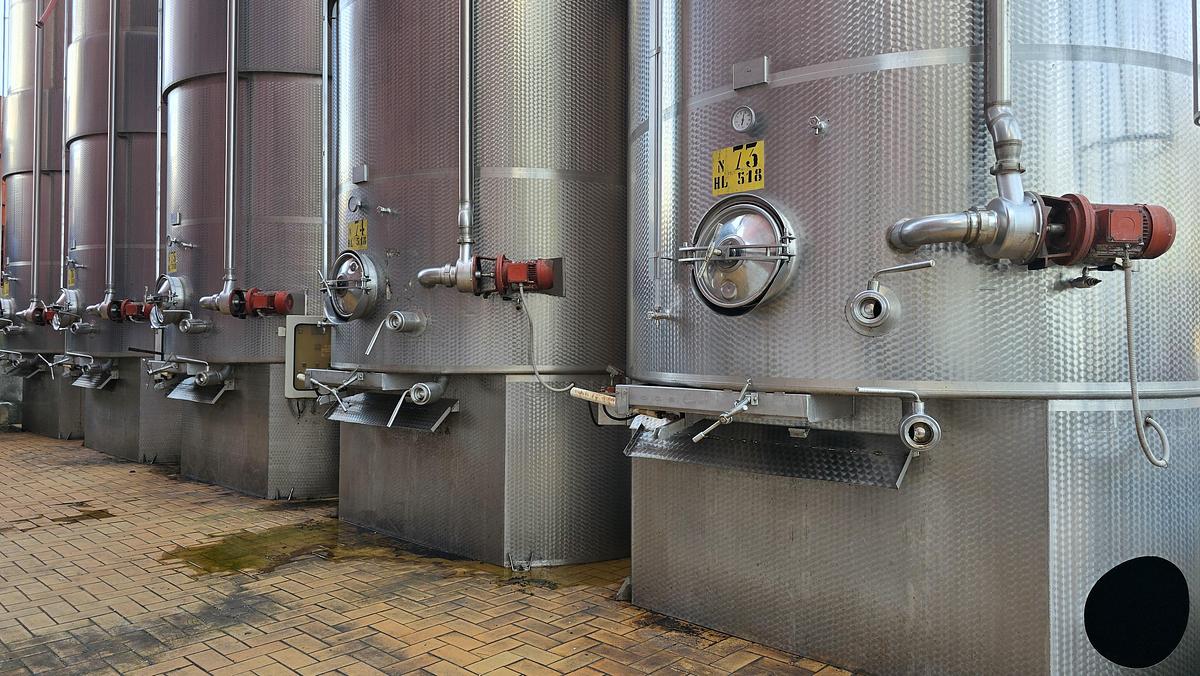 Usato Serbatoi vinificatori e stoccaggio Totale acciaio - Winemaking and storage tanks