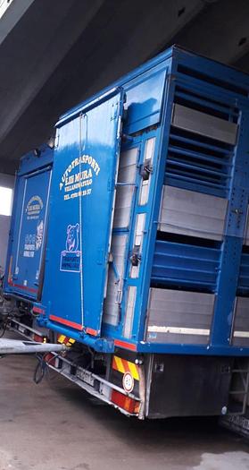 Usato 1989 Autocarro per trasporto animali SCANIA 113 H - Animal transport truck