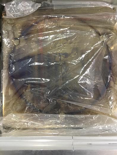 Used 2002 AMAT ENDURA CL