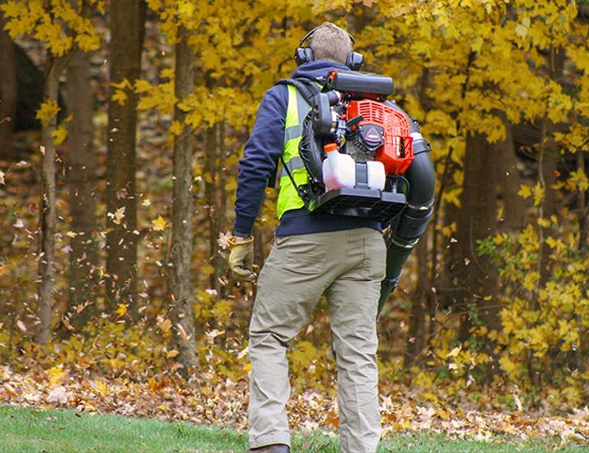 Used BACKPACK LEAF BLOWER