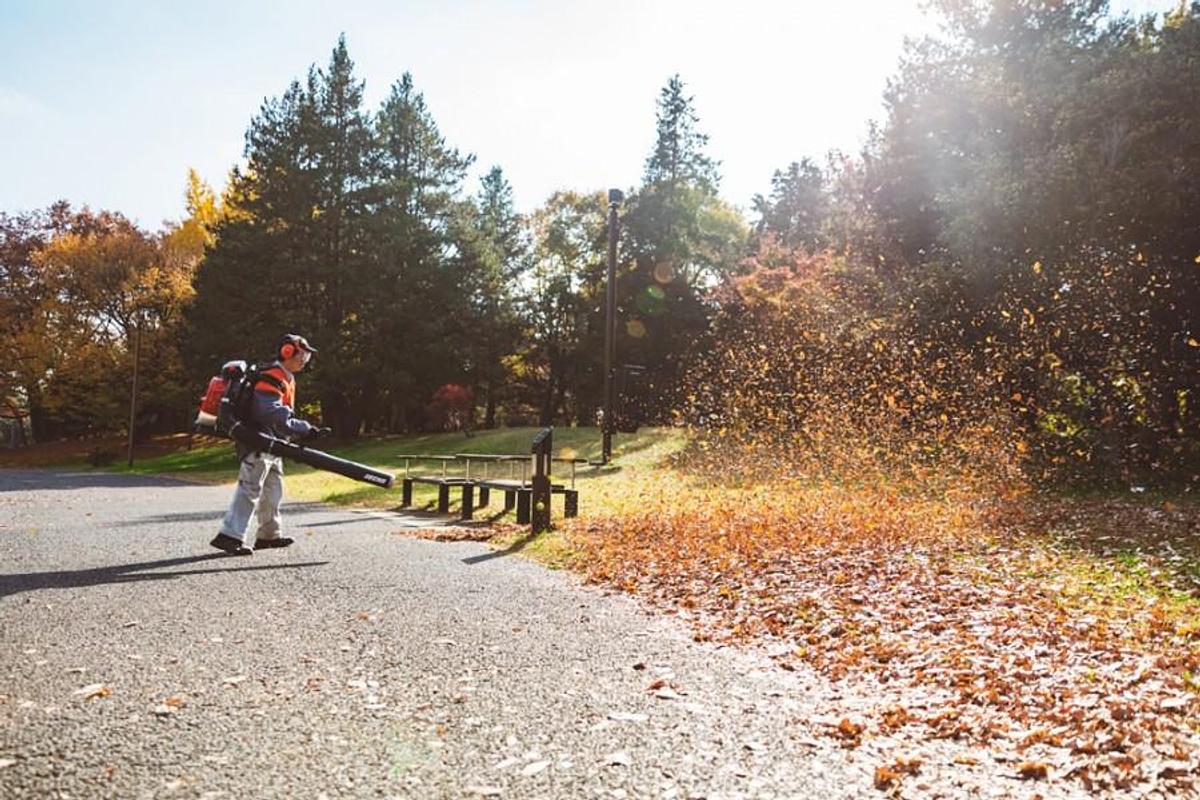 Used BACKPACK LEAF BLOWER