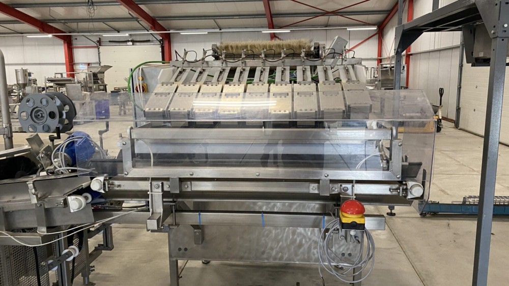 Used Newtec Htech weighing and bagging line