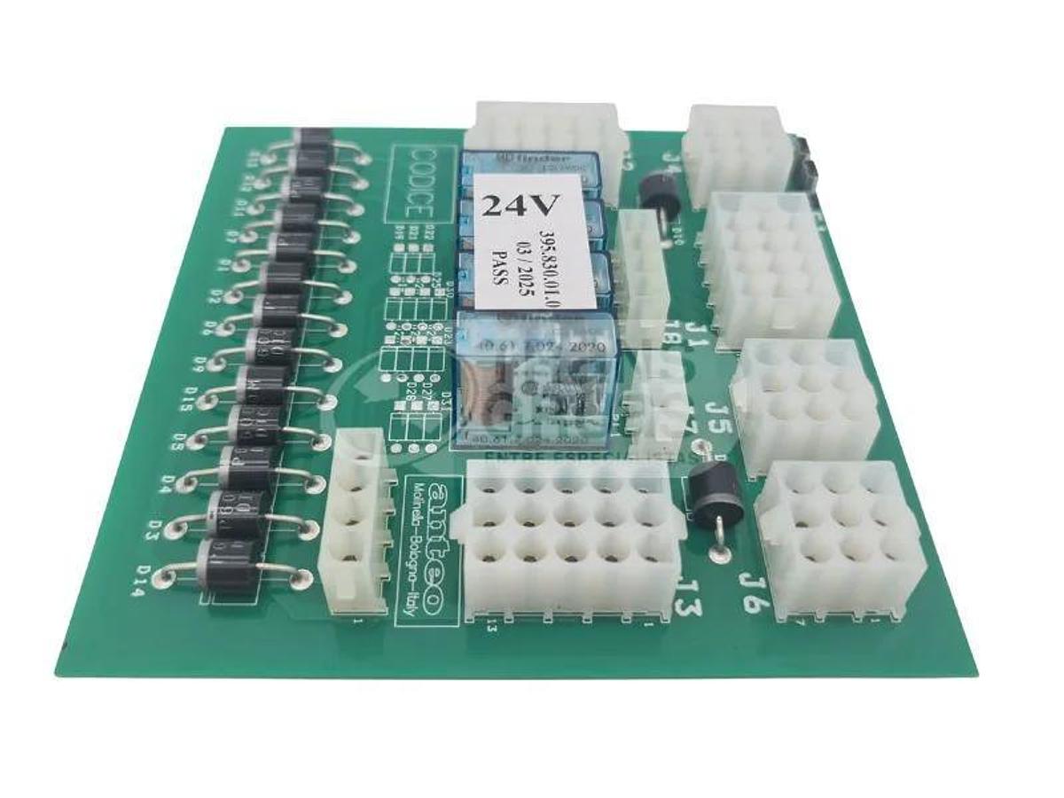 Placa eléctrica 24V (Ref. 110024)