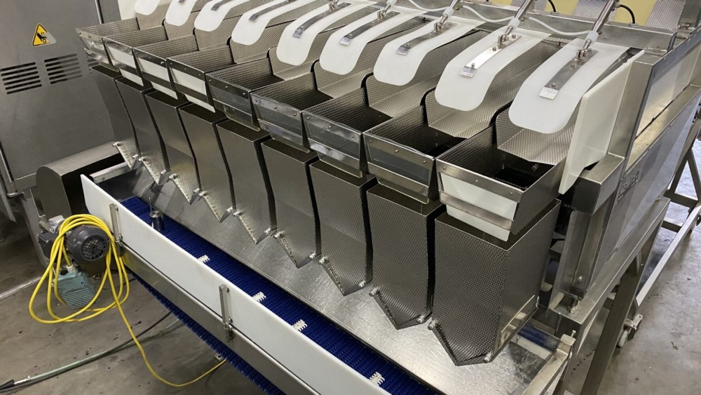 Used Newtec weighing line
