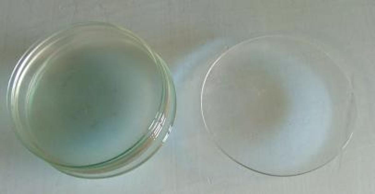 Used QTY. 9. WATCHGLASSES: 4"DIA