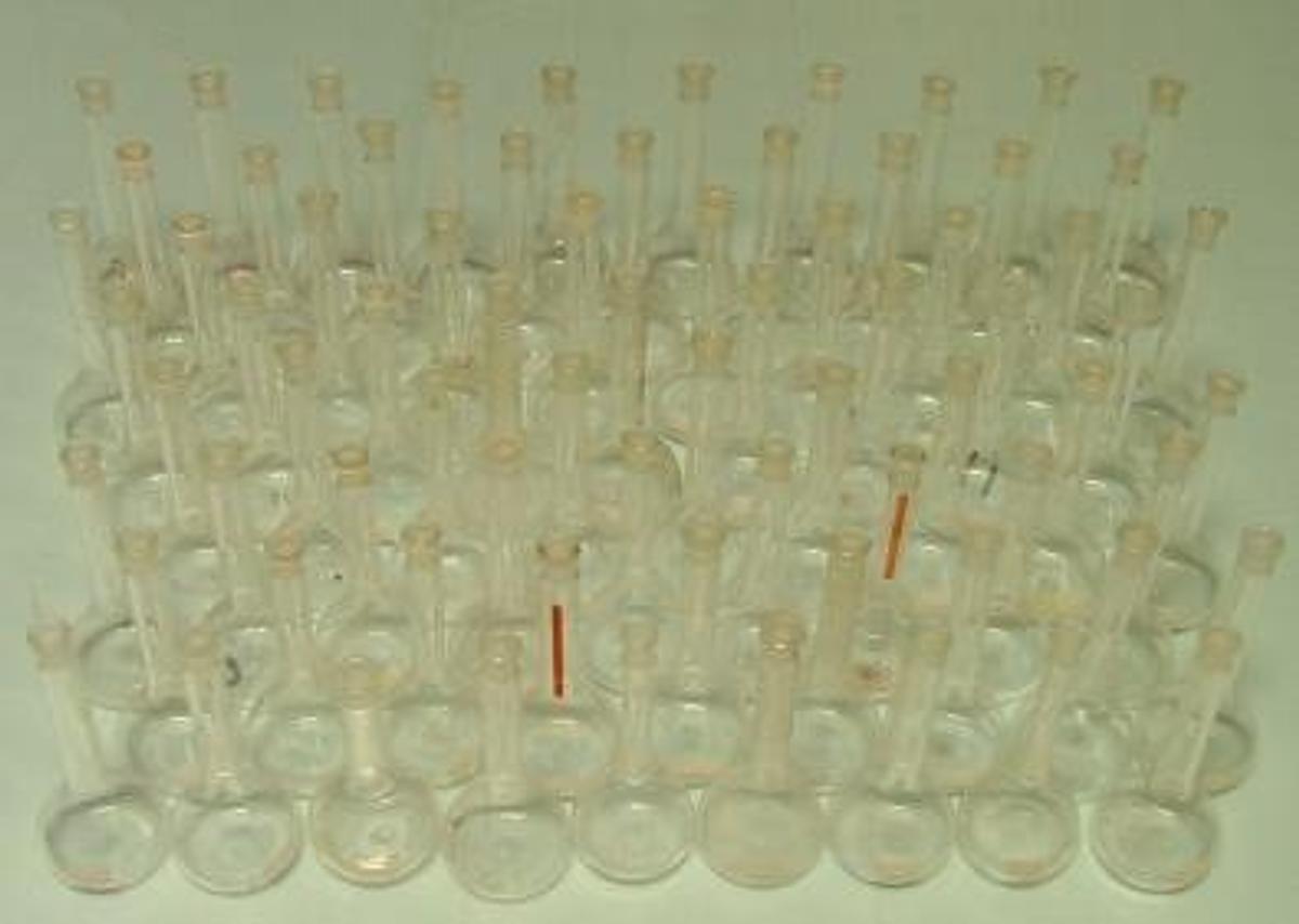 Used QTY. 66. PYREX VOLUMETRIC FLASKS 50 ML TS 9