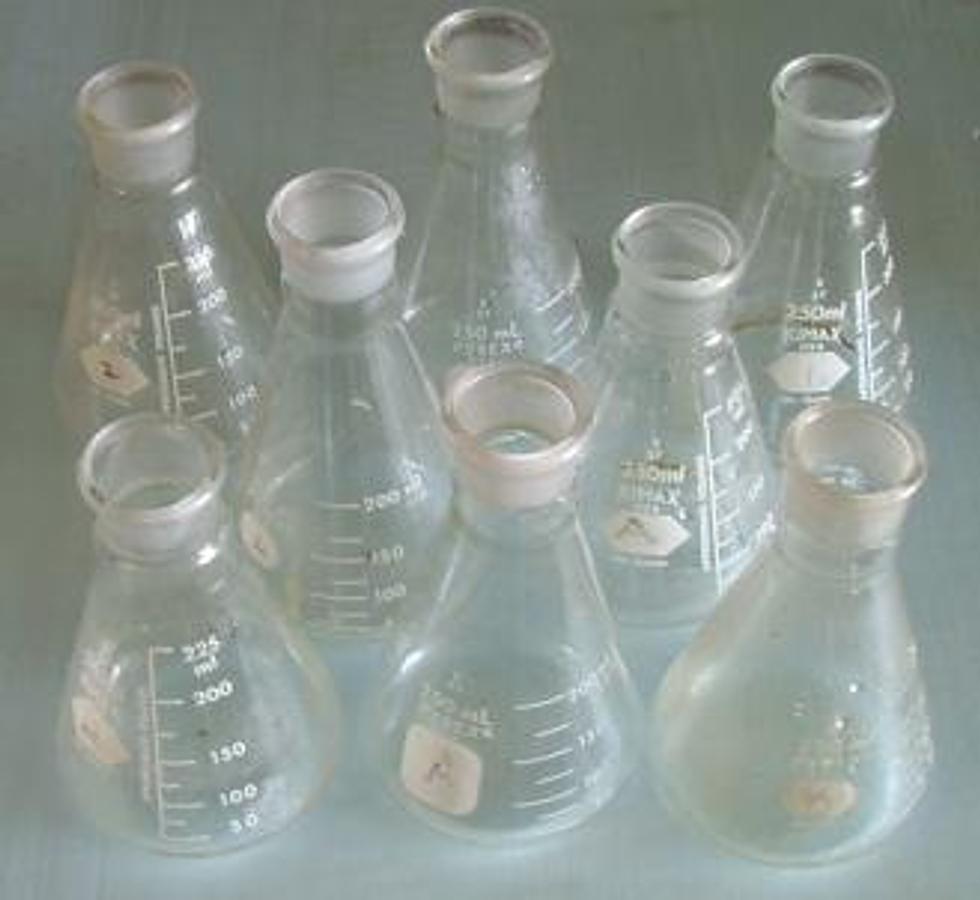 Used ERLENMEYER FLASK: 250ML TS27