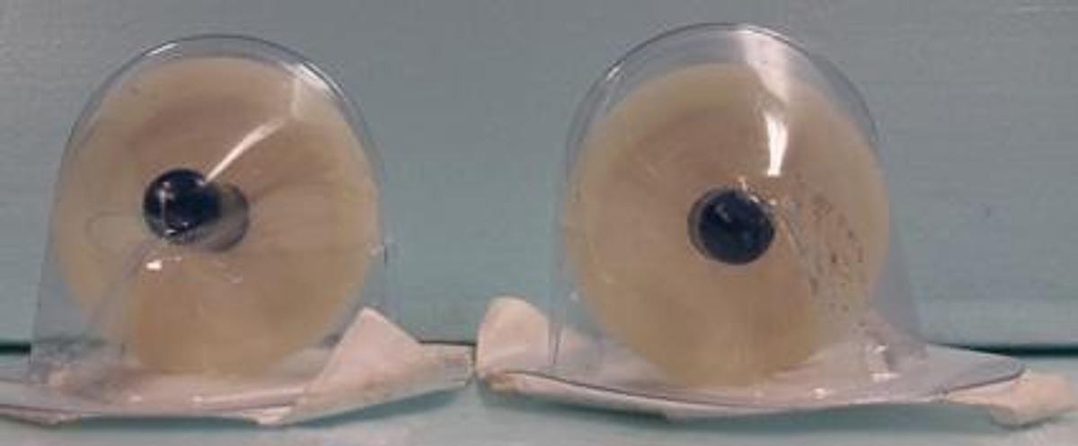 Used QTY. 2. WHATMAN SCLEICHER & SCHUELL 0.2 UM PES L#X338 90404A.