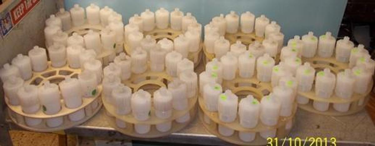 Used CEM MDS 2100 MICROWAVE 12 BOTTLE CAROUSEL WITH 12 REACTOR BOTTLES.