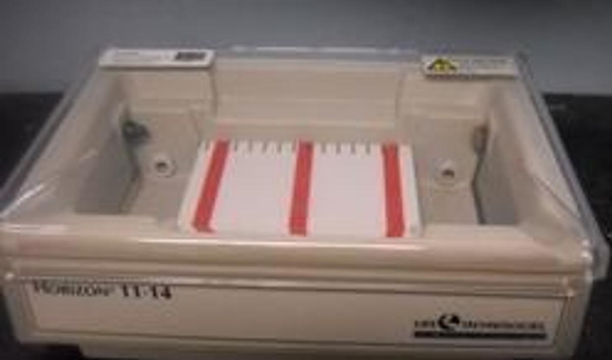 Used LIFE TECHNOLOGIES GIBCO BRC HORIZONTAL GEL ELECTROPHORESIS APPARATUS HORIZON 11-14