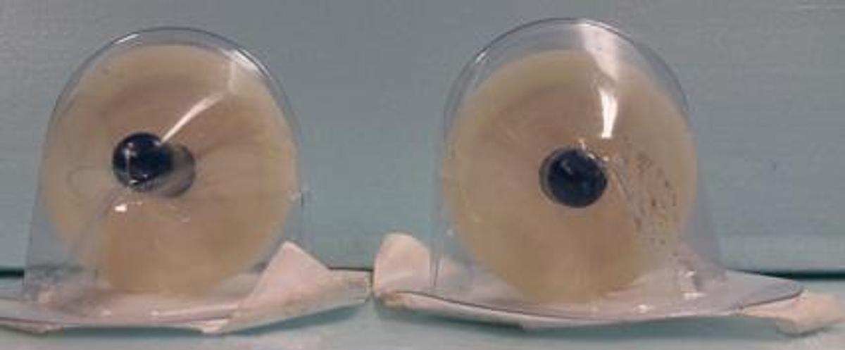 Used WHATMAN SCLEICHER & SCHUELL 0.2 UM PES L#X338 90404A.