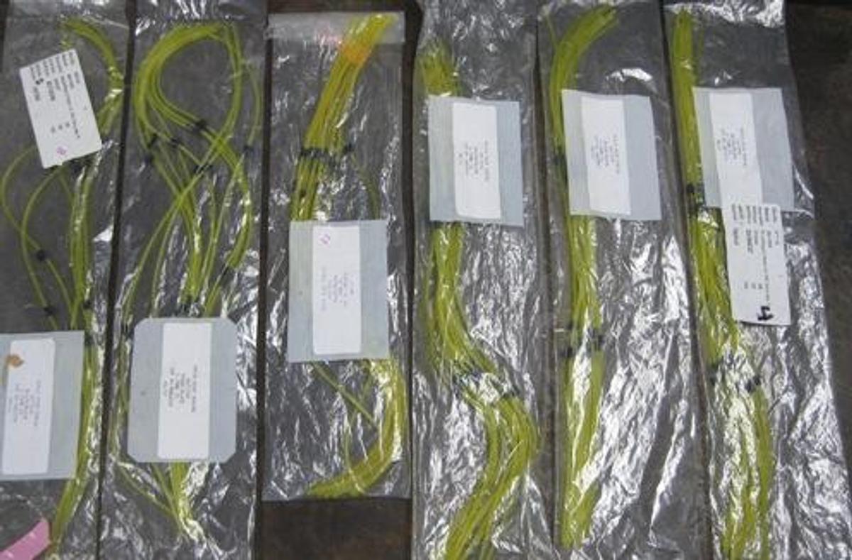 Used QTY. 1. PERKIN ELMER 6 PACKS. 56 TOTAL