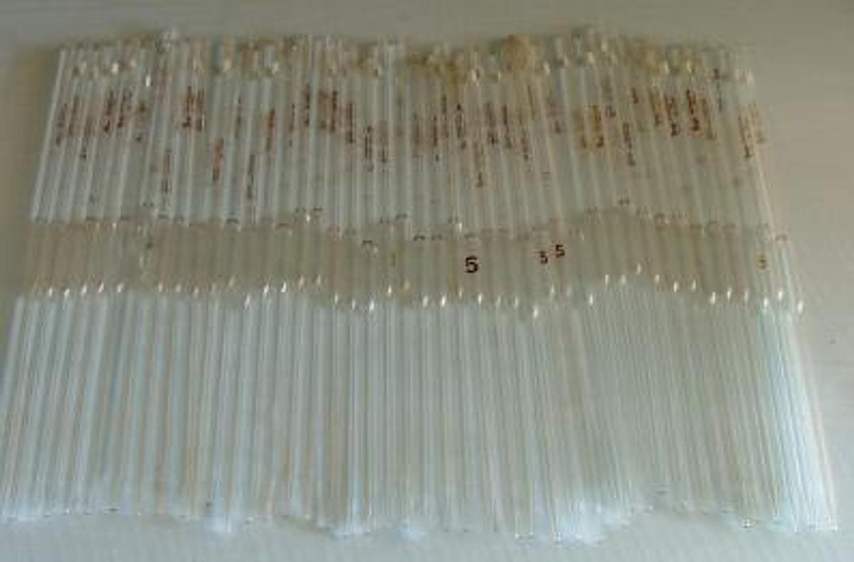 Used GLASS PIPETTES 5ML