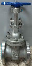 Used NEWAY 3" 150 CF8M 1945S RASED FACE FLANGED GATE VALVE