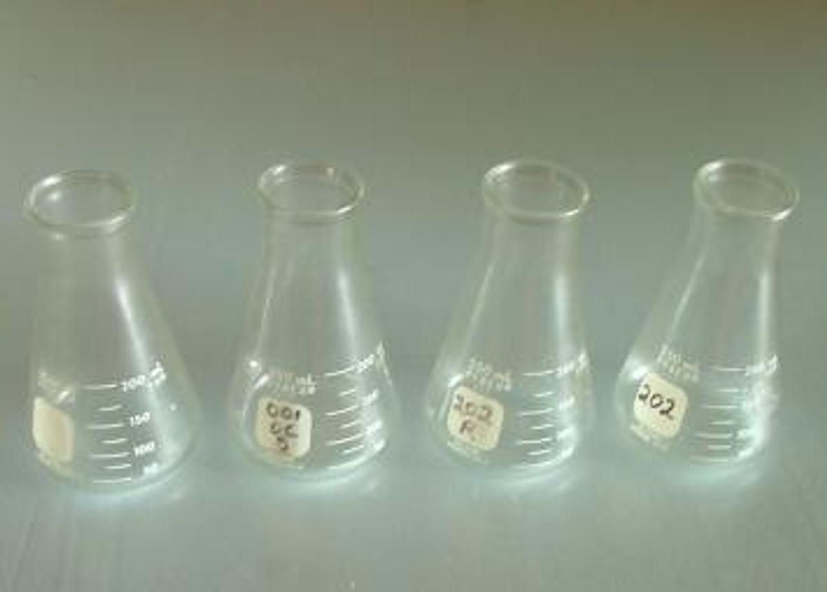 Used QTY. 2. PYREX 250 ML ERLENMEYER FLASKS NO. 5100 USES NO. 8 STOPPER. .